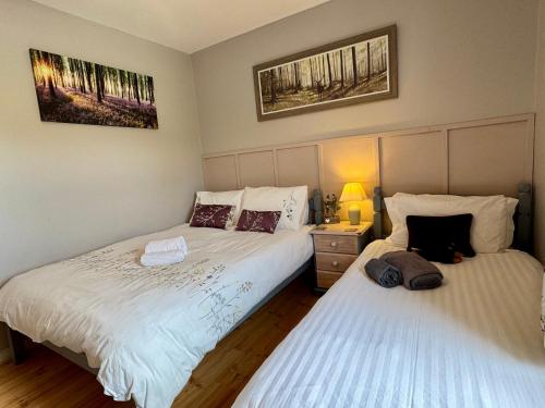 two beds sitting next to each other in a bedroom at Mountain View Cottage - Style, Calm & Scenery EV Friendly Zappi in Ray