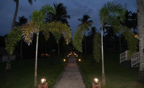 a path between two palm trees at night at El Grande Barnyard Villas in Davao City