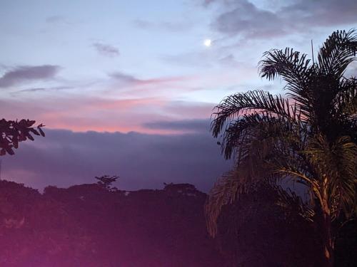 a sunset with two palm trees in the foreground at Luxury In The Jungle in Barú