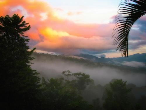 a view of a foggy valley with trees and a sunset at Luxury In The Jungle in Barú