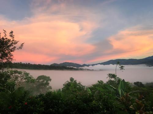 a view of a misty lake at sunset at Luxury In The Jungle in Barú