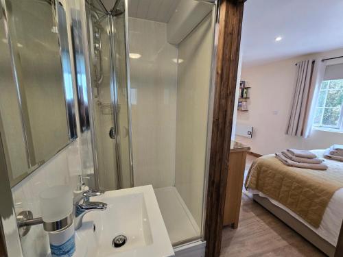 a bathroom with a shower and a sink and a bed at Ty Barddu in Newcastle Emlyn