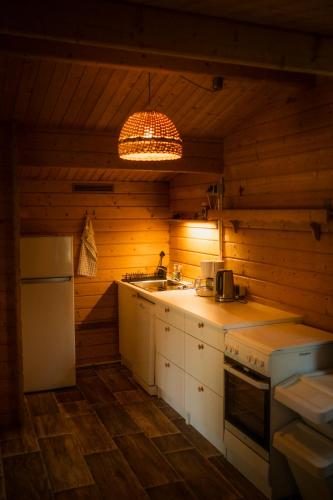 a kitchen with a sink and a stove top oven at Ferienwohnung Burgkemnitzer Weg in Gröbern