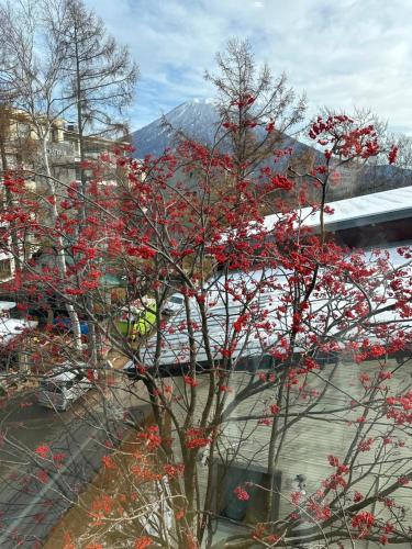 a tree with red flowers in front of a river at SuiShou in Kutchan