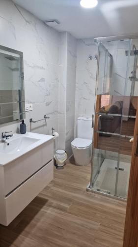 a bathroom with a shower and a sink and a toilet at Alojamiento Paco Cabrera 3C Reformado in Almuñécar