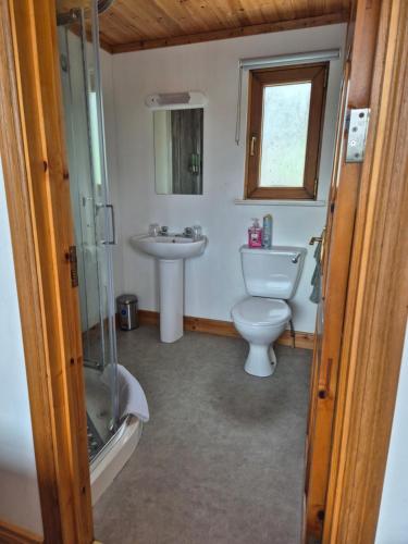 a bathroom with a toilet and a sink at Waterfront Lodges - North Cabin in Ballinamore