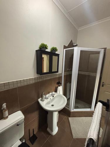 a bathroom with a sink and a mirror and a toilet at Cosy self-catering flat in Bloemfontein