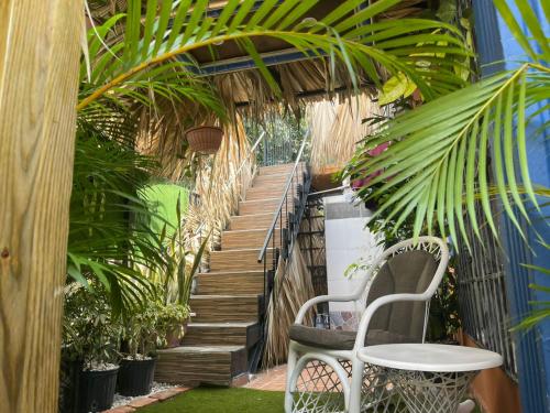 Un jardín fuera de Tropical 2