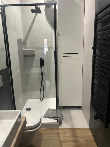Ένα μπάνιο στο Apartamenty Premium Loft