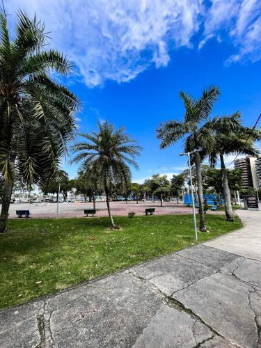 a park with palm trees and benches on the grass at Praia do Canto Apart Hotel - Vista para o Mar 102A in Vitória
