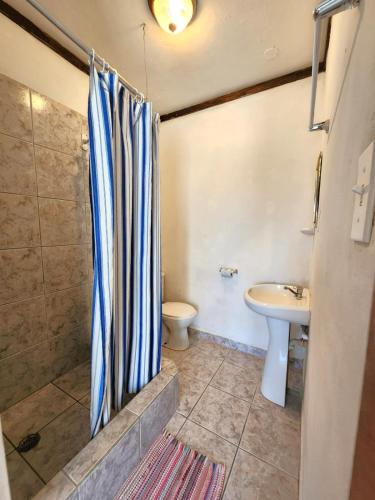 a bathroom with a shower and a toilet and a sink at Beach Side Condos Caye Caulker by CCVH in Caye Caulker