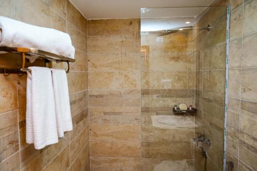 a bathroom with a shower and a sink at Pyramids Motel in Cairo