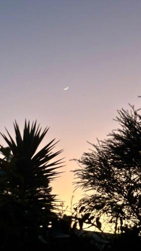 a sunset with a palm tree in the foreground at Finca San Alejandro in Cotacachi