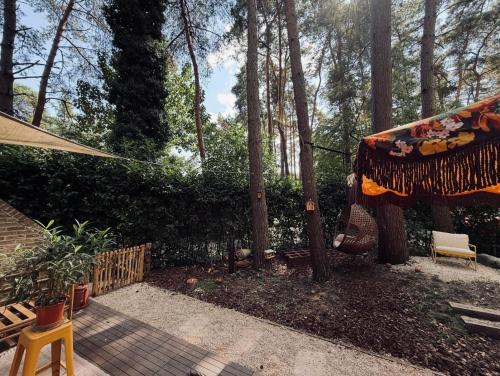 a backyard with a tree and a swing at Five Trees Forest Home in Lanaken