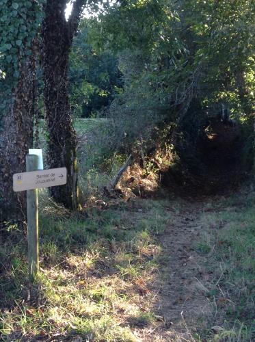 Φυσικό τοπίο κοντά σε αυτό το σαλέ
