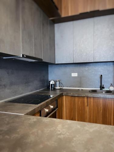 Kuchyň nebo kuchyňský kout v ubytování Apartman Bulevar