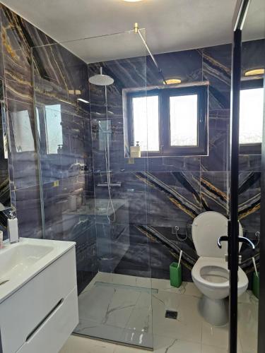 a bathroom with a toilet and a glass shower at Complex Casa Dami 