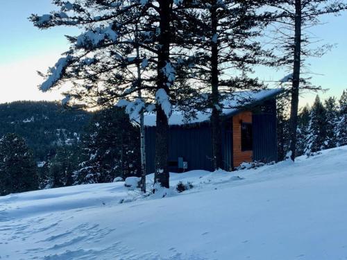 a cabin in the snow next to a tree at Pinebox at Evergreen Modern 20Acres -Serene-Creek in Evergreen