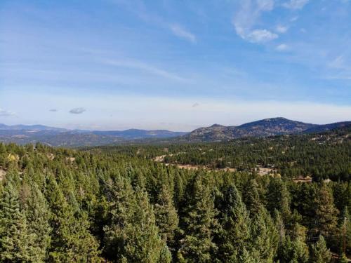 an aerial view of a forest of trees at Pinebox at Evergreen Modern 20Acres -Serene-Creek in Evergreen