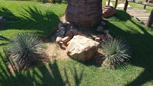 Giardino di Cottage Blue palm tree nook