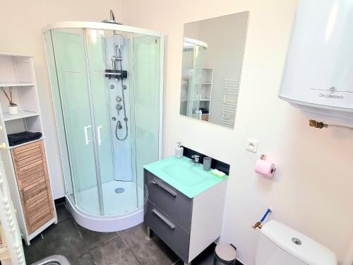 a bathroom with a glass shower and a sink at Maison Duplex Confort-Coté Cour et Jardins-Centre Gare in Amiens