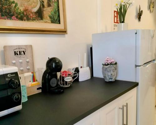 a kitchen counter with a refrigerator and a vase with flowers at Villetta Eliselena Best Vacation Ever in Villasimius