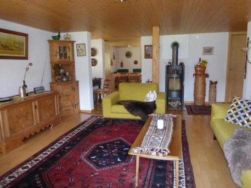 a living room with a cat sitting on a couch at Casa Antica in Gstaad