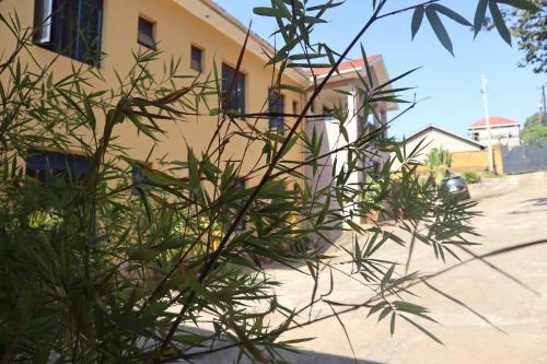 a plant in front of a yellow building at Namulanda Motel in Entebbe