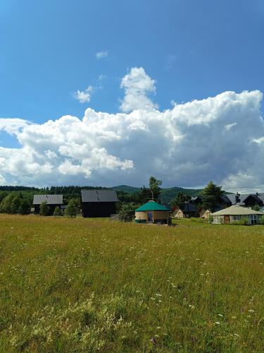 a field of grass with houses in the background at Chutor Grzegorza in Wysowa-Zdrój