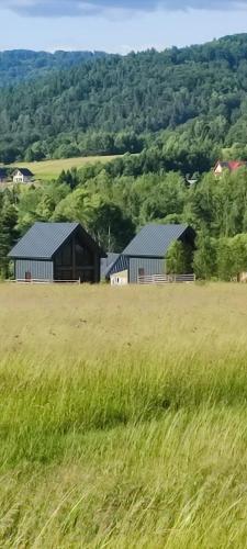 a field of grass with two buildings in the background at Chutor Grzegorza in Wysowa-Zdrój