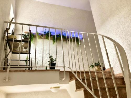 a spiral staircase with potted plants on it at Moderne Fachwerk-Wohnung im Herzen von Herborn in Herborn
