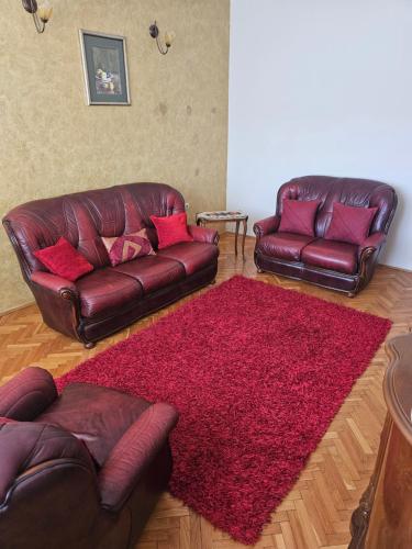 a living room with two leather couches and a red rug at Apartment K8 Center in Podgorica