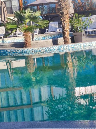 a swimming pool with a reflection in the water at Konstantins Apartment in Ohrid