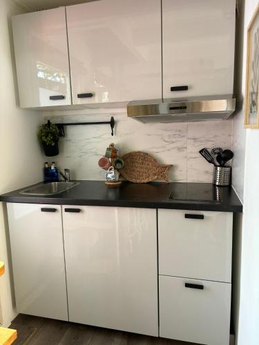Η κουζίνα ή μικρή κουζίνα στο Tiny House - Surfers Paradise