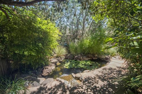a garden with a pond with lilies and trees at Pony Soldier Sedona Escape in Sedona