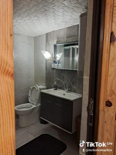 a small bathroom with a toilet and a sink at İnci dağ evi in Anayurt