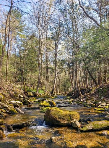 a painting of a creek in a forest at Gunn Brook Mountain House in Cornwall