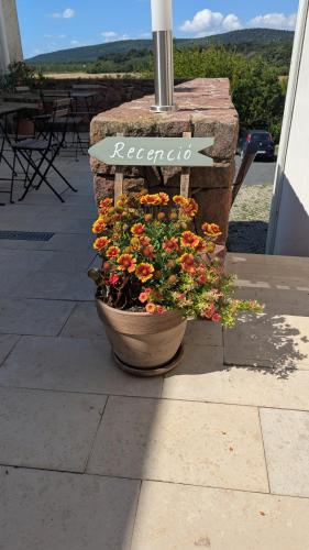 a pot of flowers on a patio with a sign at ZÁNKAPU -Hotel for You- Adult & Bike Friendly 3-Room B&B with Local Wine, Terrace & Káli-medence Experience in Zánka