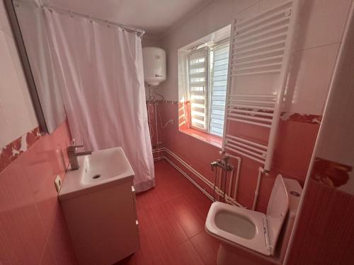 Un baño con lavabo, inodoro y ventana. en Girasole, en Chişinău