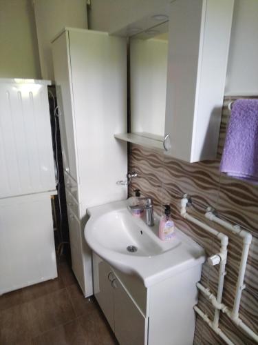 baño con lavabo blanco y nevera en Stefke 2, en Lučani