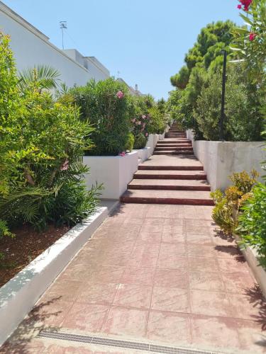 Κήπος έξω από το Affittacamere Eliana