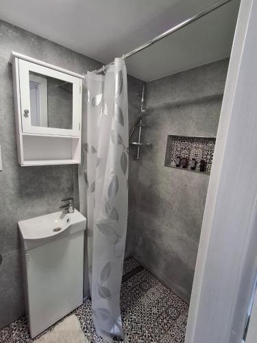a bathroom with a sink and a shower curtain at Garden House Slavkov in Veľký Slavkov