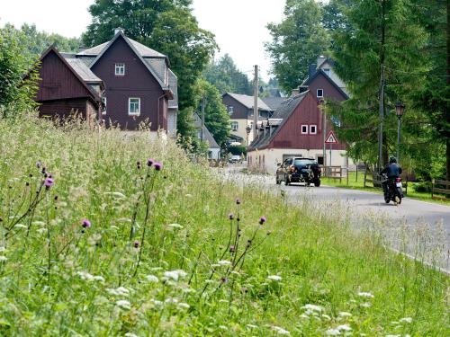 a man riding a motorcycle down a road in a village at Hotel Sonne in Seiffen