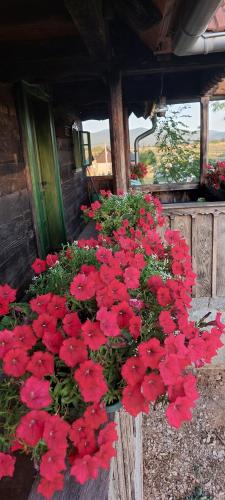 Cozy wooden house Robiniaにある庭