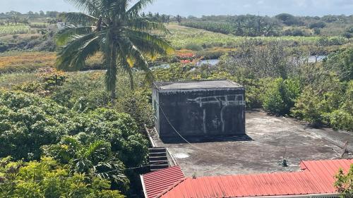 a small shack with graffiti on it in a field at Le Maho AHAVAH in Trou dʼ Eau Douce