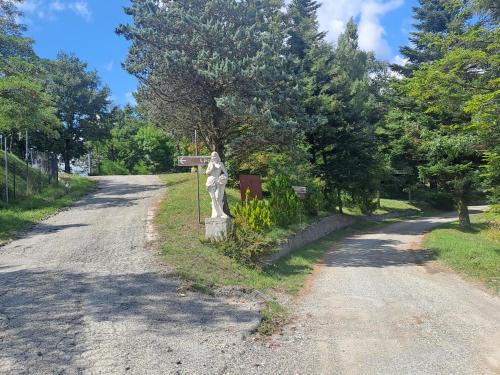 Příroda nedaleko apartmánu