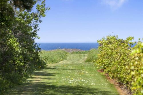 a dirt road with the ocean in the background at SL274-Korsor-Havstokken-16 in Korsør