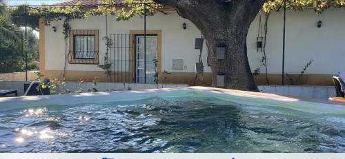 Foto Quinta da Horta Nova 4