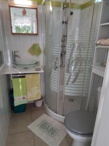 a bathroom with a shower and a toilet and a sink at Le Jardin aux Oiseaux in Sainte-Anne