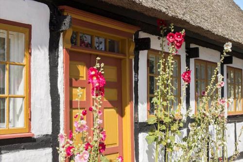 a house with flowers on the front door at 20137-Samso-Topmejsevej-8 in Nordby